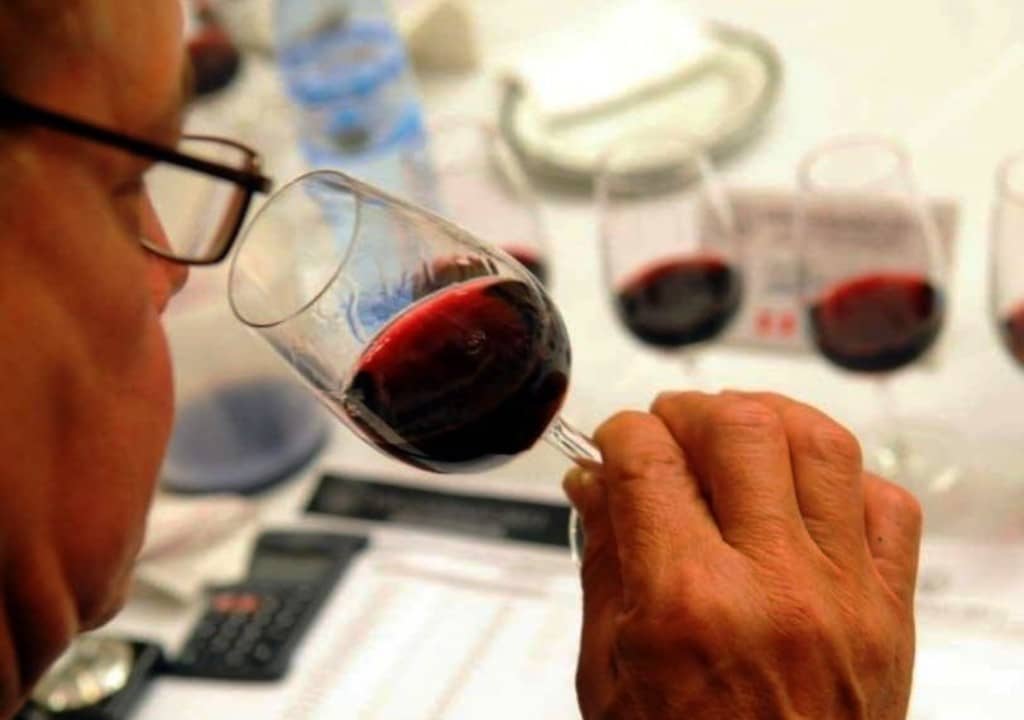 El Instituto Nacional de Vitivinicultura y la Asociación de Profesionales en Producción de Vinos realizarán una nueva edición de Wines 2021